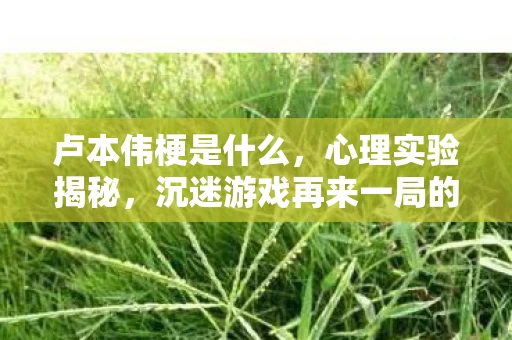 卢本伟梗是什么,心理实验揭秘,沉迷游戏再来一局的细思极恐真相 卢本伟梗是什么,心理实验揭秘,沉迷游戏再来一局的细思极恐真相