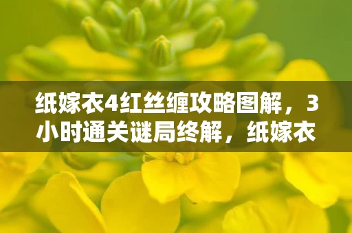 纸嫁衣4红丝缠攻略图解，3小时通关谜局终解，纸嫁衣4红丝缠竟成泪目绝唱！