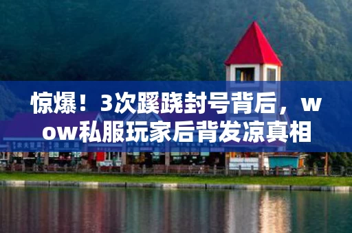 惊爆！3次蹊跷封号背后，wow私服玩家后背发凉真相竟是……