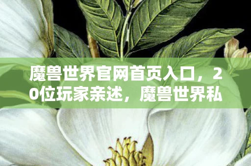 魔兽世界官网首页入口,20位玩家亲述,魔兽世界私服疑云重重,真相曝光后我直接绷不住了! 魔兽世界官网首页入口,20位玩家亲述,魔兽世界私服疑云重重,真相曝光后我直接绷不住了!