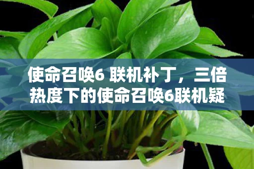 使命召唤6 联机补丁，三倍热度下的使命召唤6联机疑云，资本狂欢，玩家心寒真相几何？