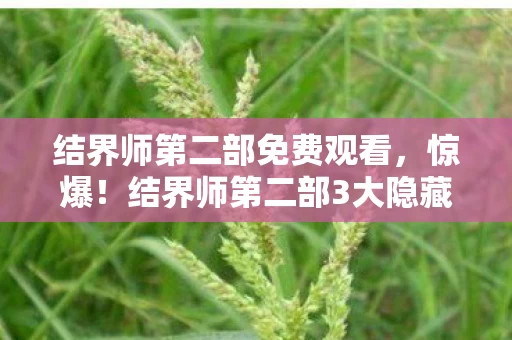 结界师第二部免费观看,惊爆!结界师第二部3大隐藏设定,99%老粉看完都破防了! 结界师第二部免费观看,惊爆!结界师第二部3大隐藏设定,99%老粉看完都破防了!