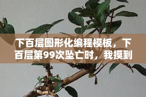 下百层图形化编程模板，下百层第99次坠亡时，我摸到了深渊的脉搏——2027年最致命的垂直地狱