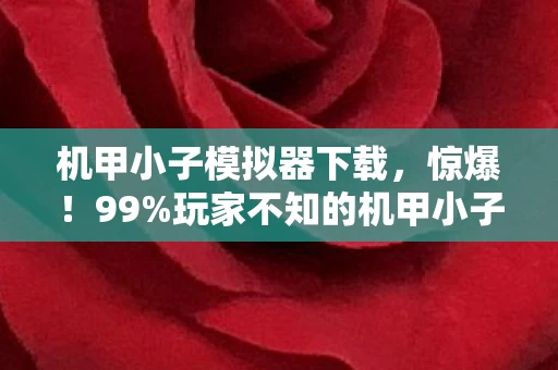 机甲小子模拟器下载，惊爆！99%玩家不知的机甲小子修改器，竟藏着这致命秘密？