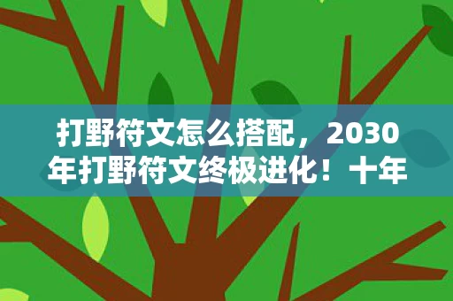 打野符文怎么搭配，2030年打野符文终极进化！十年老玩家揭秘，这改动让峡谷颤抖！