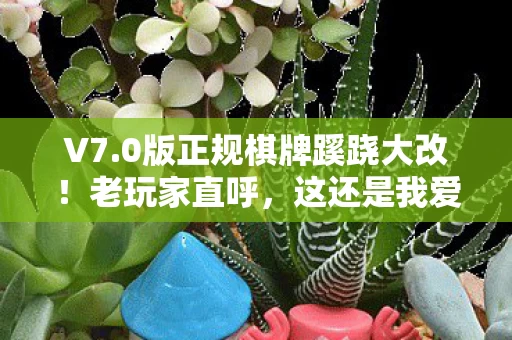 V7.0版正规棋牌蹊跷大改！老玩家直呼，这还是我爱的那款吗？