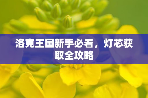 洛克王国新手必看图片