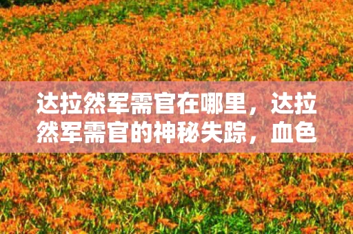 达拉然军需官在哪里，达拉然军需官的神秘失踪，血色账簿背后的千年悬案