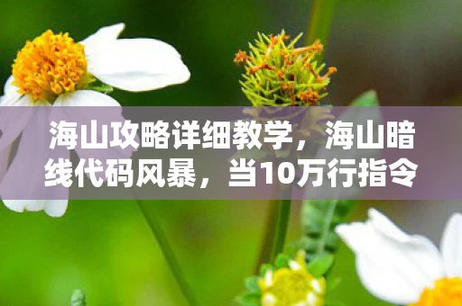 海山攻略详细教学，海山暗线代码风暴，当10万行指令成为我最后的社交铠甲，头皮发麻的真相