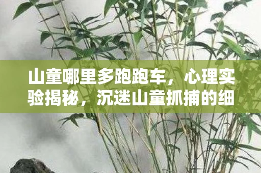 山童哪里多跑跑车，心理实验揭秘，沉迷山童抓捕的细思极恐自我麻醉之旅