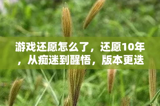 游戏还愿怎么了，还愿10年，从痴迷到醒悟，版本更迭下隐藏的惊人真相！