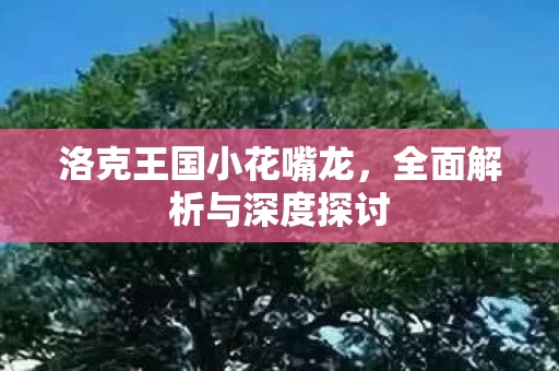 全面解析与深度探讨图片