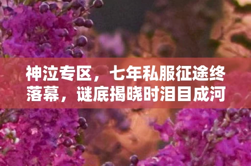 神泣专区,七年私服征途终落幕,谜底揭晓时泪目成河 神泣专区,七年私服征途终落幕,谜底揭晓时泪目成河