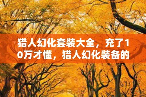 猎人幻化套装大全，充了10万才懂，猎人幻化装备的隐藏定价竟比房价还狠！