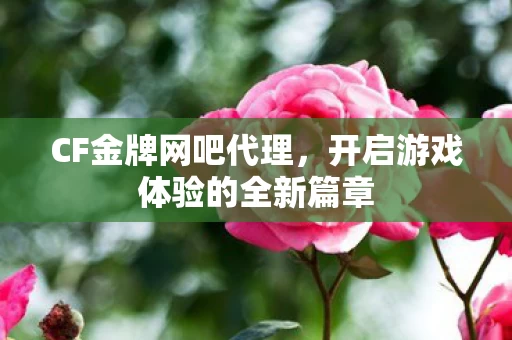 开启游戏体验的全新篇章图片