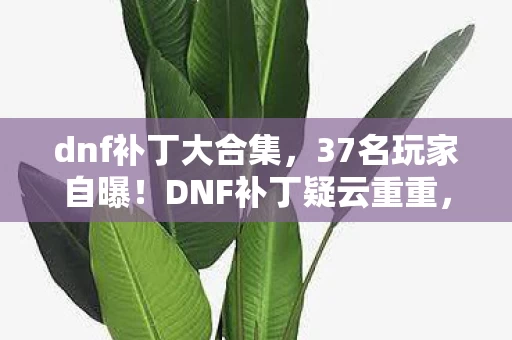 dnf补丁大合集,37名玩家自曝!DNF补丁疑云重重,大神萌新齐喊绷不住了 dnf补丁大合集,37名玩家自曝!DNF补丁疑云重重,大神萌新齐喊绷不住了