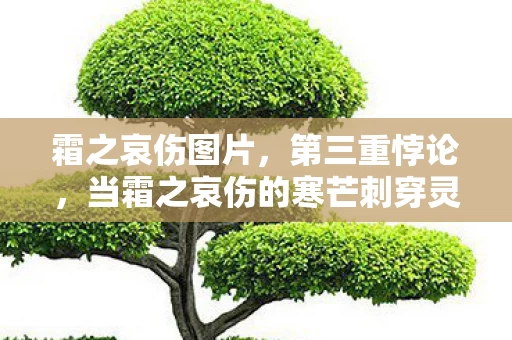霜之哀伤图片，第三重悖论，当霜之哀伤的寒芒刺穿灵魂震颤的永恒轮回