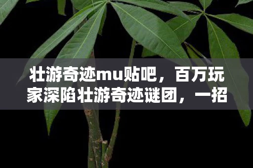 壮游奇迹mu贴吧，百万玩家深陷壮游奇迹谜团，一招破防真相竟如此荒诞！