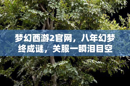 梦幻西游2官网，八年幻梦终成谜，关服一瞬泪目空