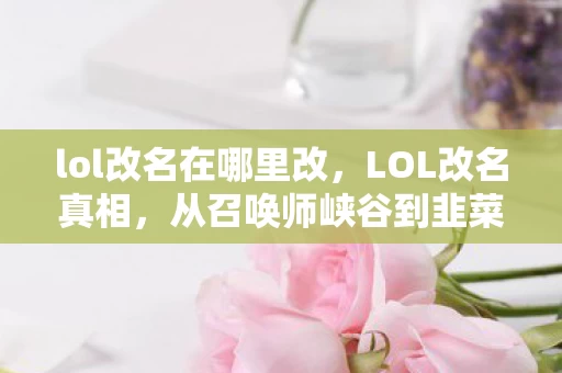 lol改名在哪里改,LOL改名真相,从召唤师峡谷到韭菜峡谷,笑着骂完又默默登录的落差谁懂啊! lol改名在哪里改,LOL改名真相,从召唤师峡谷到韭菜峡谷,笑着骂完又默默登录的落差谁懂啊!