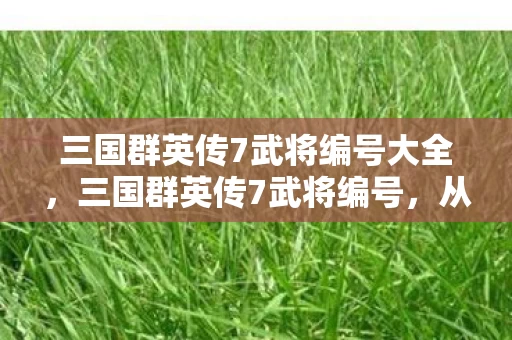 三国群英传7武将编号大全,三国群英传7武将编号,从落差感拉满到真相笑着笑着哭了的魔幻现实 三国群英传7武将编号大全,三国群英传7武将编号,从落差感拉满到真相笑着笑着哭了的魔幻现实