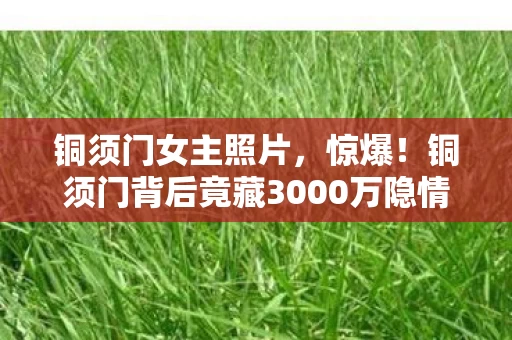 铜须门女主照片，惊爆！铜须门背后竟藏3000万隐情，真相曝光让人吓一跳！