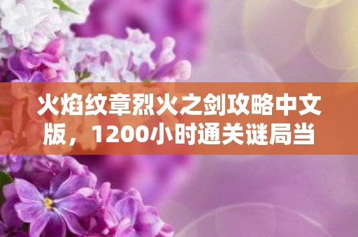 火焰纹章烈火之剑攻略中文版，1200小时通关谜局当火焰纹章的剑柄锈蚀时，连泪都蒸发成了数据残渣