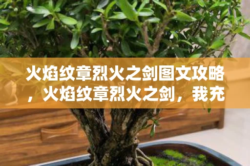 火焰纹章烈火之剑图文攻略，火焰纹章烈火之剑，我充了18万，老婆签离婚协议时我才吓一跳