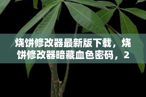 烧饼修改器最新版下载，烧饼修改器暗藏血色密码，2027年未报案的连环悬案，真相令人毛骨悚然