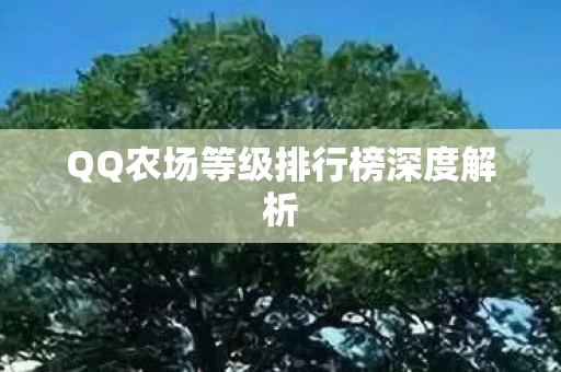 QQ农场等级排行榜深度解析图片