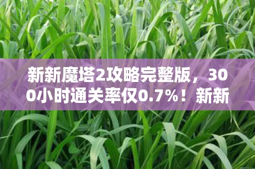 新新魔塔2攻略完整版,300小时通关率仅0.7%!新新魔塔2用硬核数据撕碎情怀陷阱,老玩家集体破防的真相竟是…… 新新魔塔2攻略完整版,300小时通关率仅0.7%!新新魔塔2用硬核数据撕碎情怀陷阱,老玩家集体破防的真相竟是……