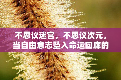 不思议迷宫,不思议次元,当自由意志坠入命运回廊的永恒悖论 不思议迷宫,不思议次元,当自由意志坠入命运回廊的永恒悖论