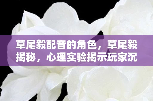 草尾毅配音的角色，草尾毅揭秘，心理实验揭示玩家沉迷游戏背后的细思极恐真相