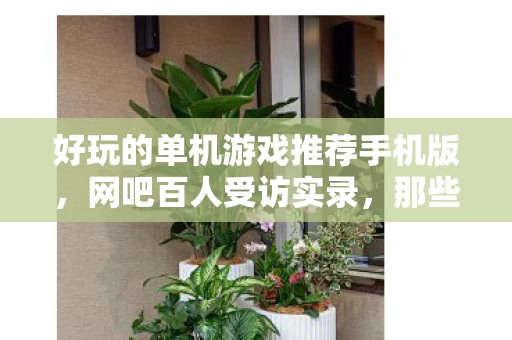 好玩的单机游戏推荐手机版,网吧百人受访实录,那些游戏里的疑点,怎么让人绷不住泪崩了? 好玩的单机游戏推荐手机版,网吧百人受访实录,那些游戏里的疑点,怎么让人绷不住泪崩了?