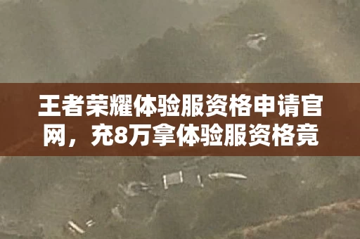 王者荣耀体验服资格申请官网，充8万拿体验服资格竟成离婚导火索！老婆签协议时我腿都软了