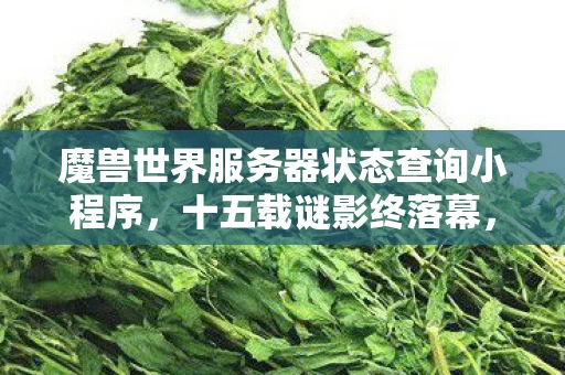 魔兽世界服务器状态查询小程序,十五载谜影终落幕,魔兽世界服务器熄灯泪目时刻 魔兽世界服务器状态查询小程序,十五载谜影终落幕,魔兽世界服务器熄灯泪目时刻