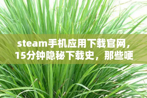 steam手机应用下载官网，15分钟隐秘下载史，那些哽咽着等进度条的深夜