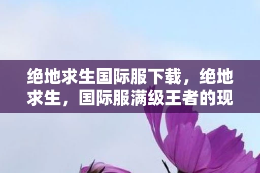 绝地求生国际服下载，绝地求生，国际服满级王者的现实深渊，存在之悖论震颤灵魂