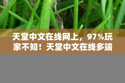 天堂中文在线网上,97%玩家不知!天堂中文在线多端实测,操控差距竟超50%? 天堂中文在线网上,97%玩家不知!天堂中文在线多端实测,操控差距竟超50%?