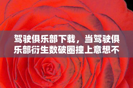 驾驶俱乐部下载,当驾驶俱乐部衍生数破圈撞上意想不到联名,败家玩家已吃土到2027! 驾驶俱乐部下载,当驾驶俱乐部衍生数破圈撞上意想不到联名,败家玩家已吃土到2027!