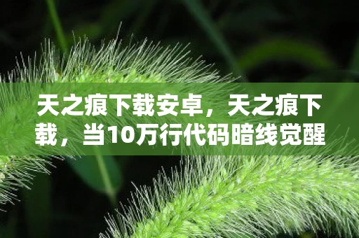 天之痕下载安卓，天之痕下载，当10万行代码暗线觉醒，你的每个操作都在触发头皮发麻的数字暴动