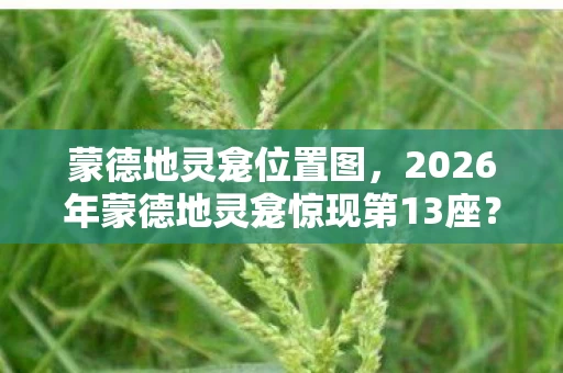 蒙德地灵龛位置图,2026年蒙德地灵龛惊现第13座?考古队深夜直播挖出惊天秘密! 蒙德地灵龛位置图,2026年蒙德地灵龛惊现第13座?考古队深夜直播挖出惊天秘密!