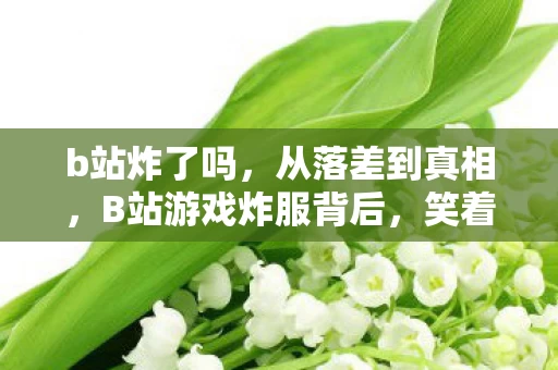 b站炸了吗，从落差到真相，B站游戏炸服背后，笑着笑着，我哭了……