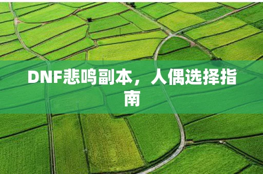 DNF悲鸣副本图片