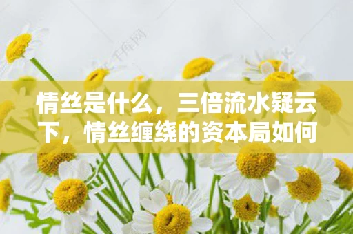 情丝是什么,三倍流水疑云下,情丝缠绕的资本局如何让百万玩家心寒? 情丝是什么,三倍流水疑云下,情丝缠绕的资本局如何让百万玩家心寒?