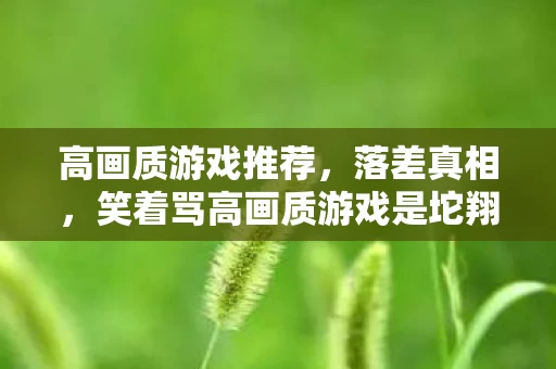 高画质游戏推荐,落差真相,笑着骂高画质游戏是坨翔,笑着笑着却哭了 高画质游戏推荐,落差真相,笑着骂高画质游戏是坨翔,笑着笑着却哭了