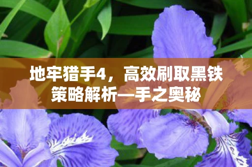 高效刷取黑铁策略解析图片