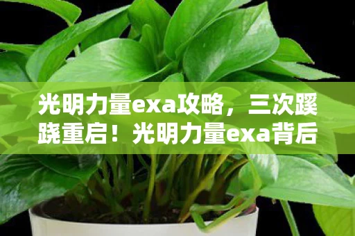 光明力量exa攻略,三次蹊跷重启!光明力量exa背后真相竟让人后背发凉 光明力量exa攻略,三次蹊跷重启!光明力量exa背后真相竟让人后背发凉
