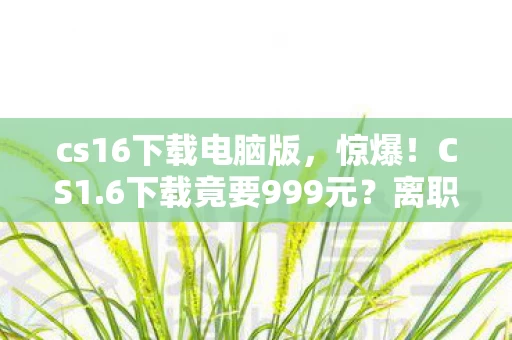 cs16下载电脑版,惊爆!CS1.6下载竟要999元?离职老兵掀桌揭内幕,吓你一跳! cs16下载电脑版,惊爆!CS1.6下载竟要999元?离职老兵掀桌揭内幕,吓你一跳!
