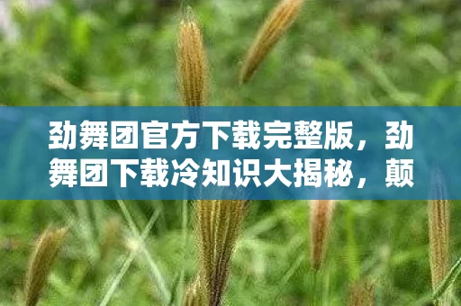 劲舞团官方下载完整版,劲舞团下载冷知识大揭秘,颠覆认知的设计,让你目瞪口呆! 劲舞团官方下载完整版,劲舞团下载冷知识大揭秘,颠覆认知的设计,让你目瞪口呆!